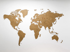 Хостел Why not Hostel Novosibirsk