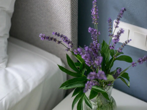 Апартаменты Круиз