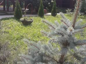 Частный дом Feel House