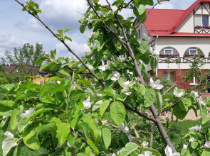 Гостевой дом на Есенина