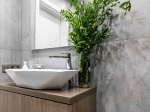 Апартаменты LS Savin House