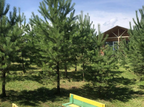 Гостевой дом Радость