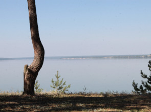 База Отдыха Сосновый Бор на Усе