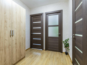 Апартаменты Dream House на Блюхера