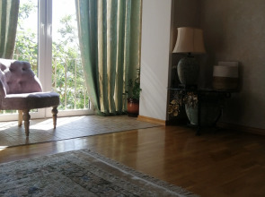 Квартира комфортная в самом центре города с приятным окружающим видом