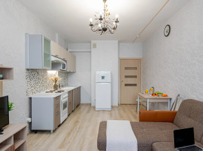 Апартаменты Cosmos Apart на Революции 48А (1)