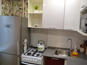 Квартира 1к рядом с Парком им.Кирова