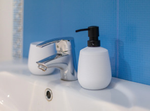 Апартаменты  RentPlaza на Улице Революционной-Центр