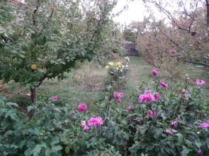 Хостел Artush & Raisa B&B