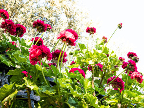 Отель Casa Di Pietra Kabak