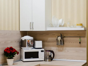 Апартаменты Козицкий переулок 1А (02)