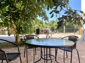 Гостевой дом ApartMari Гостевой дом Villa Leo