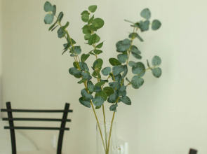 Квартира Двухкомнатные на улице Антонова 47