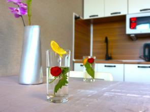 Квартира с красивым видом из окна в центре Челябинска