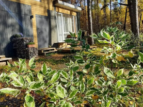 Гостевой дом в Вязах