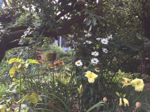 Гостевой дом Дом в саду