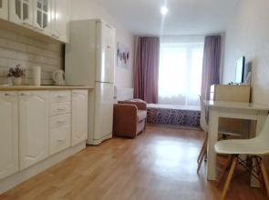 Квартира Студия Большая Подгорная 87