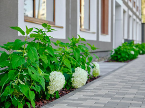 Квартира на Шаумяна 20