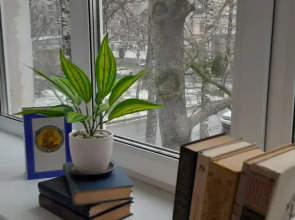 Квартира на набережной Александра Невского