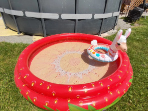 Усадьба Золотой медведь