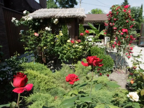 Гостевой дом Шельф