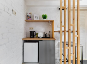 Меблированные Комнаты Rush in Aparts в Центре Мансардный Номер с Двуспальной Кроватью и Удобной Общей Кухней Рядом Улица Баумана