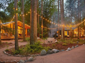 Частный дом Большая Репинская дача в лесу