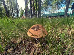 База отдыха Александровская