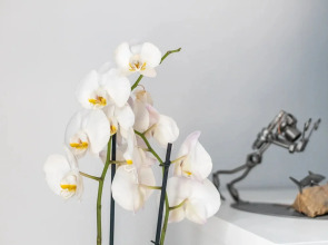 Апартаменты Play на Тульской