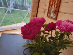 Гостевой дом Усадьба Добрыня