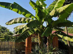 Гостевой дом Форелька