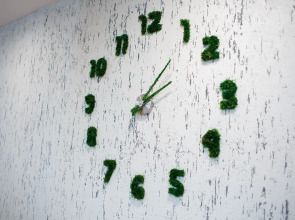 База отдыха Широкая