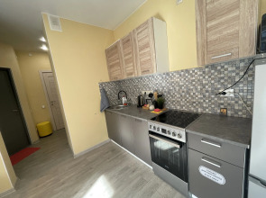 Апартаменты Ligov 1