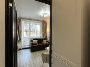 Квартира Однокомнатная на Проспекте Авиаторов Балтики, д. 25