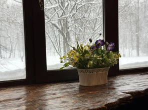 Апартаменты Причал 9