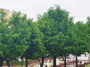 Апартаменты на Бульваре Чавайна 42