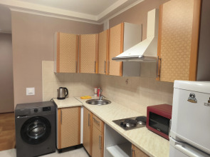 Апартаменты НСК возле Метро Студенческая