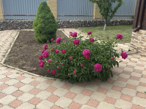 Гостевой дом VIP HOUSE