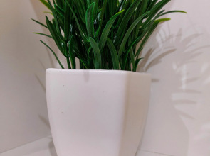 Квартира с Сауной