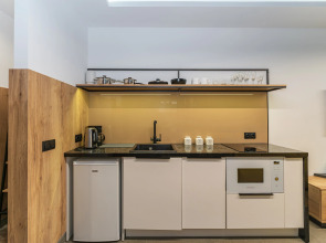 Апартаменты Baden Loft