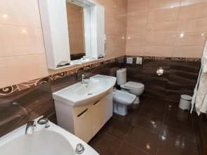 Отель Виноград