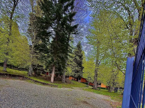 Горная Мята