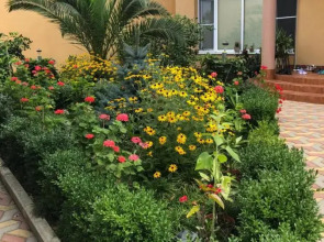 Гостевой дом Аврора