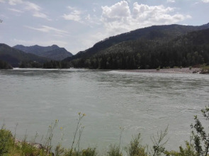 Гостевой дом Альбатрос