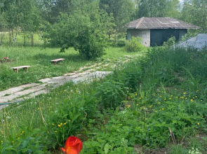 MAXROOMS у Плеса