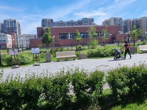 Квартира в ЖК Энфилд