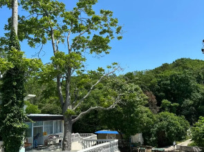 Гостевой дом Пальма Туапсе