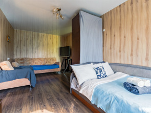 Апартаменты Две комнаты