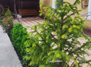 Частный Дом Комфортный Дом до 4 Человек