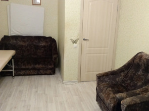 Квартира Санкт-Петербург Пушкин Экспофорум Пулковское Индивидуальная Квартира